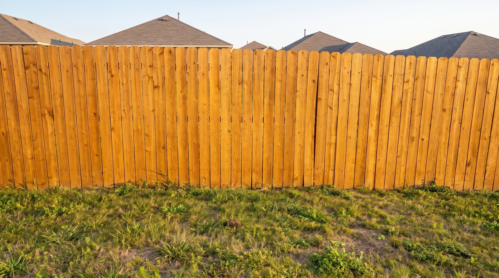 The same cedar privacy fence freshly stained golden