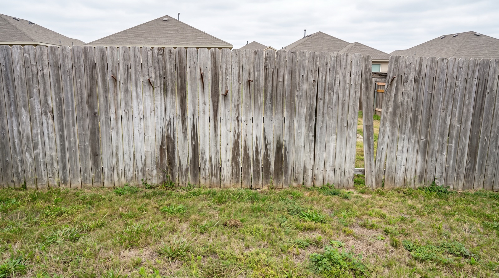 Weathered gray cedar privacy fence before restoration